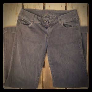 Level 99 Pinstripe Stretch Bell Bottom Pants